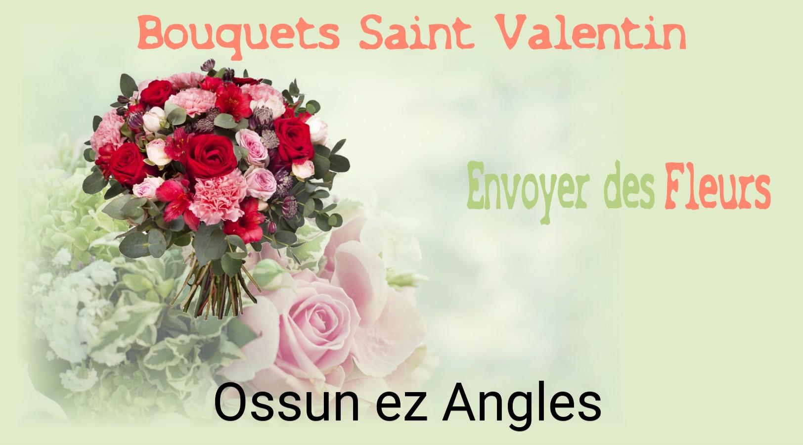 Roses de Saint-Valentin livrées à Ossun-ez-Angles