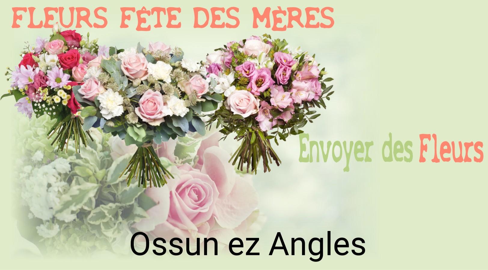 Bouquet de Fête des Mères livré à Ossun-ez-Angles